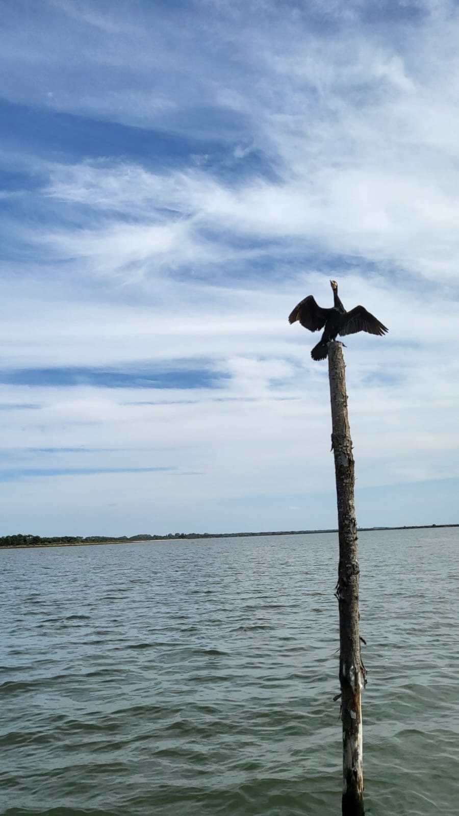 Bassin d’Arcachon — photo 13