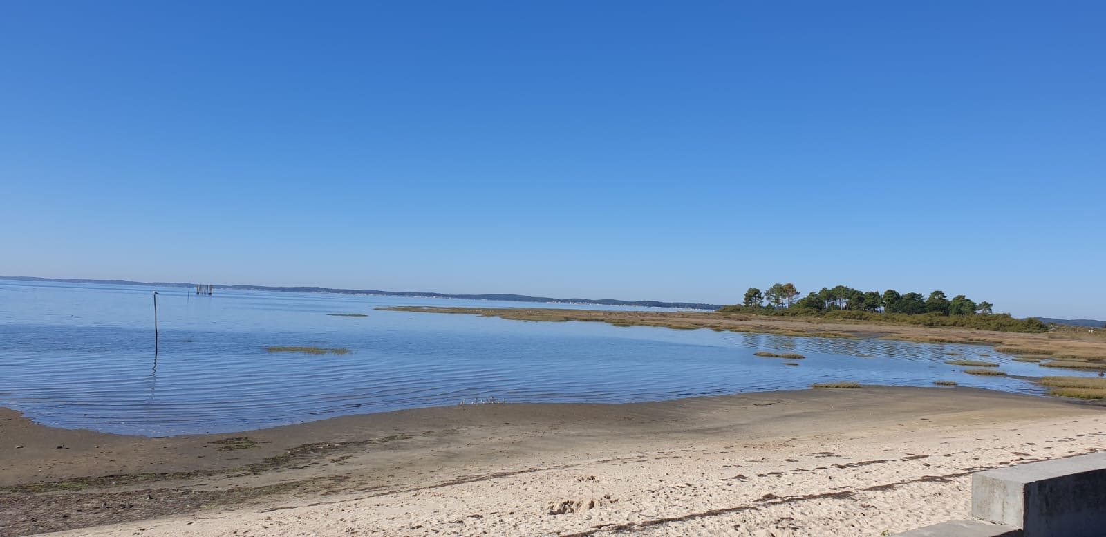 Bassin d’Arcachon — photo 15