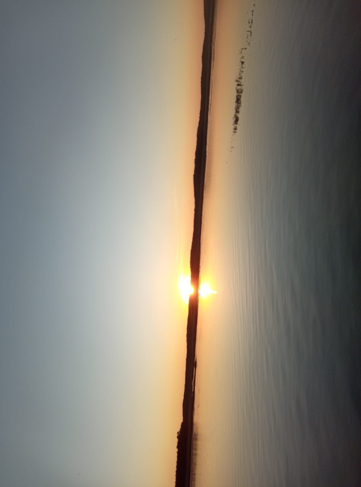 Bassin d’Arcachon — photo 26