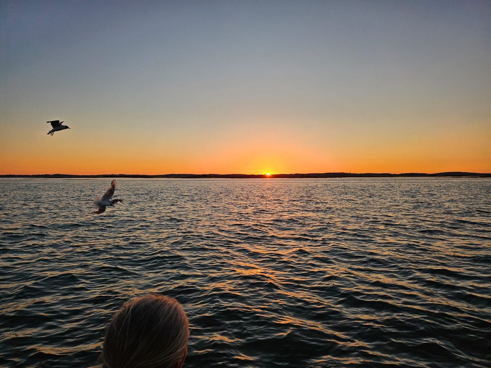 Bassin d’Arcachon — photo 32
