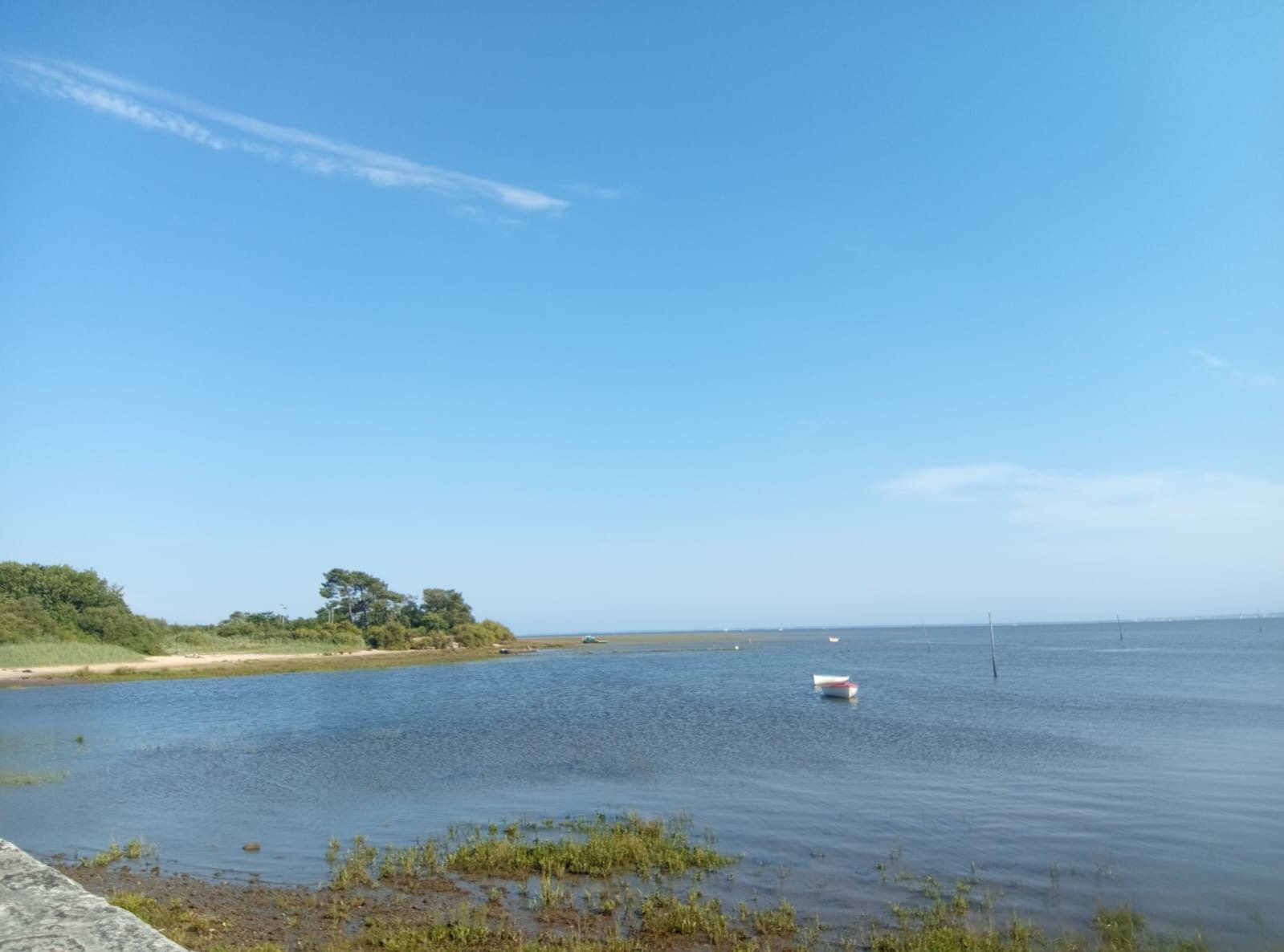 Bassin d’Arcachon — photo 36