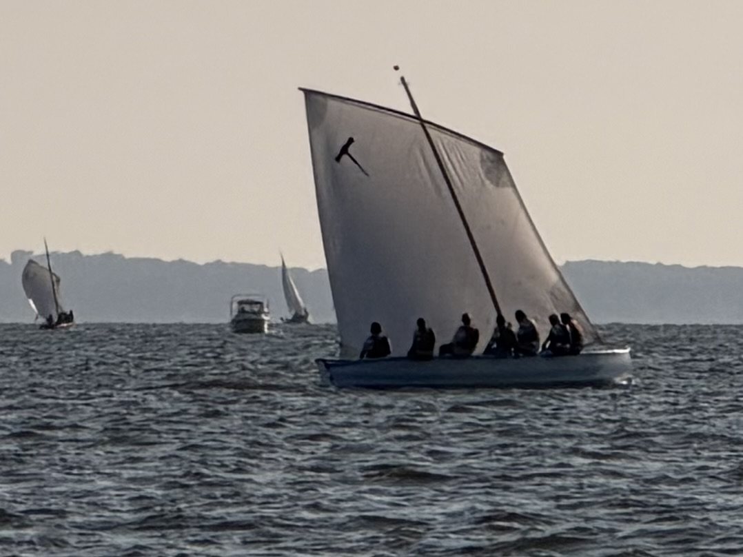 Bassin d’Arcachon — photo 58
