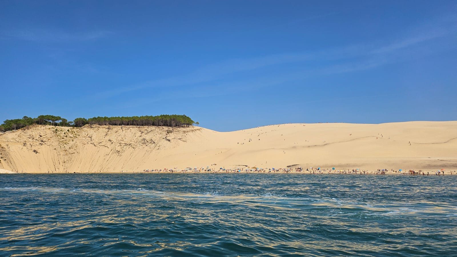 Bassin d’Arcachon — photo 64