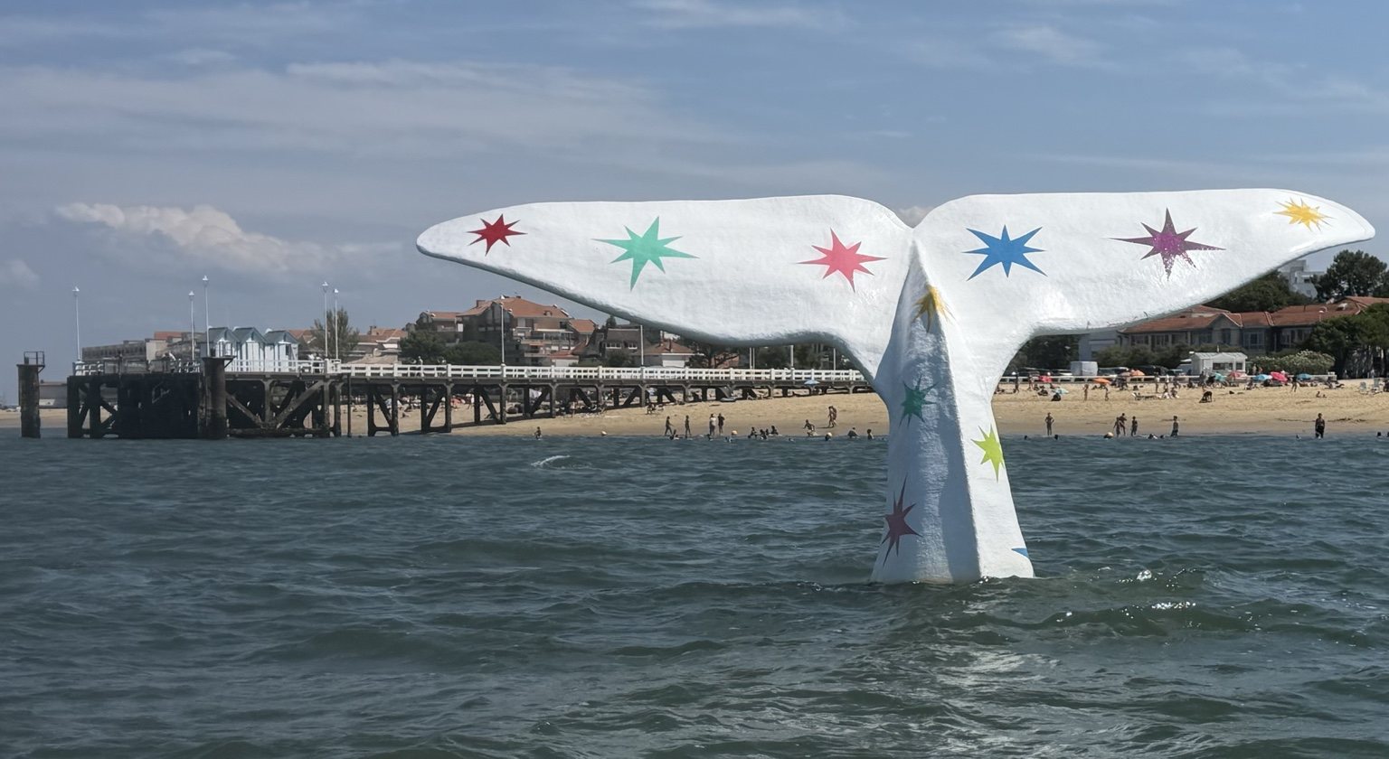 Bassin d’Arcachon — photo 67