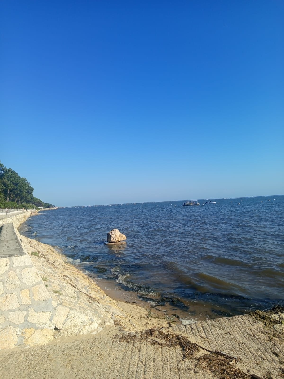 Bassin d’Arcachon — photo 85